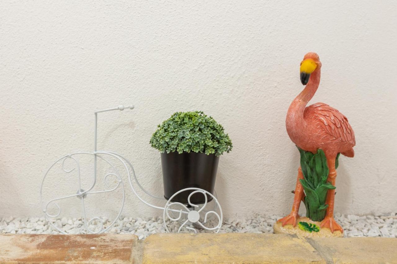 Deledda Home Cagliari Ngoại thất bức ảnh